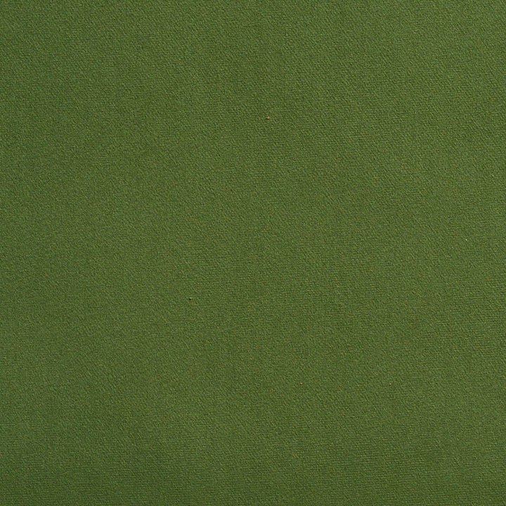 2205 Juniper by Charlotte Designer Fabric Microfiber 100% Woven Polyester Asia Exceeds 100,000 Wyzenbeek Rubs (Heavy Duty) No Repeat 54 Inches - Swanky Fabrics -