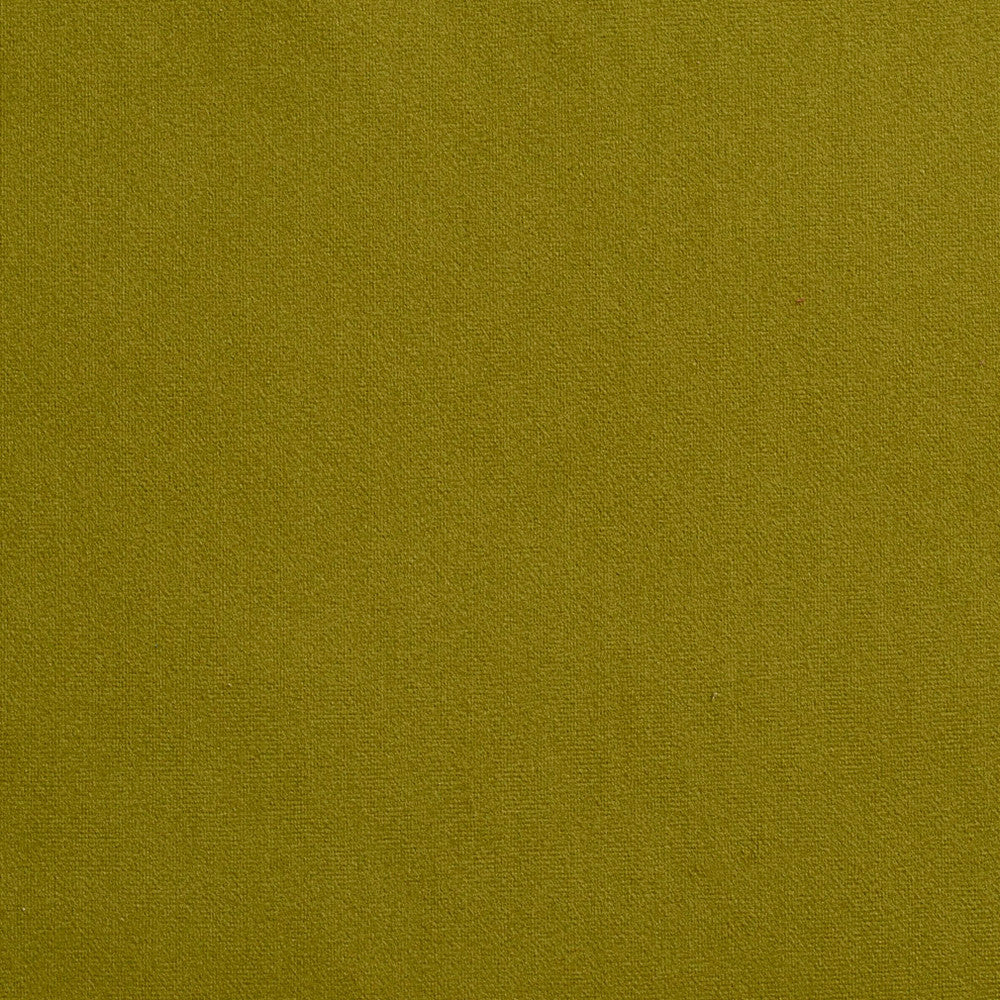 2208 Spring by Charlotte Designer Fabric Microfiber 100% Woven Polyester Asia Exceeds 100,000 Wyzenbeek Rubs (Heavy Duty) No Repeat 54 Inches - Swanky Fabrics -