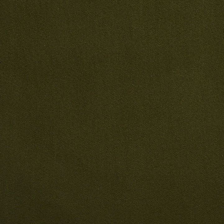 2215 Forest by Charlotte Designer Fabric Microfiber 100% Woven Polyester Asia Exceeds 100,000 Wyzenbeek Rubs (Heavy Duty) No Repeat 54 Inches - Swanky Fabrics -