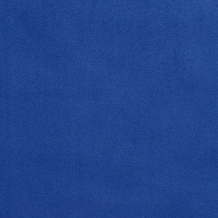 2219 Capri by Charlotte Designer Fabric Microfiber 100% Woven Polyester Asia Exceeds 100,000 Wyzenbeek Rubs (Heavy Duty) No Repeat 54 Inches - Swanky Fabrics -