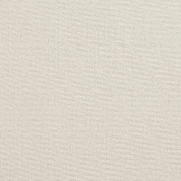 2223 Ivory by Charlotte Designer Fabric Microfiber 100% Woven Polyester Asia Exceeds 100,000 Wyzenbeek Rubs (Heavy Duty) No Repeat 54 Inches - Swanky Fabrics -