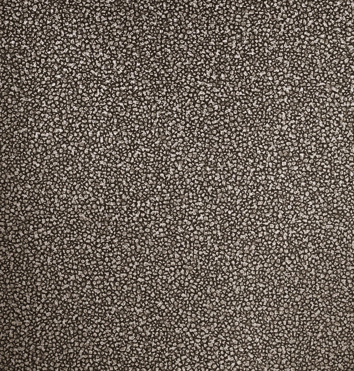Mica Texture Coal & Silver Glitter 2231610 by Etten Gallerie Designer Wallpaper
