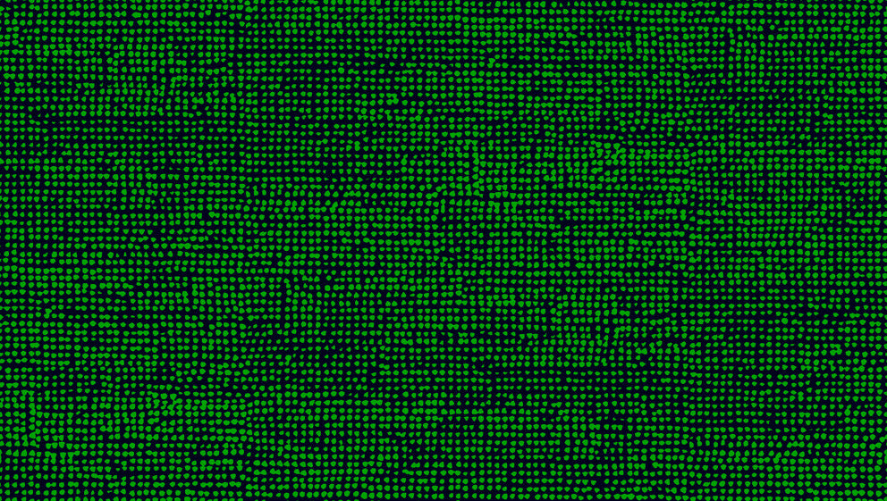 Orkanen Green and Midnight Blue 23310X by Marimekko Designer Wallpaper