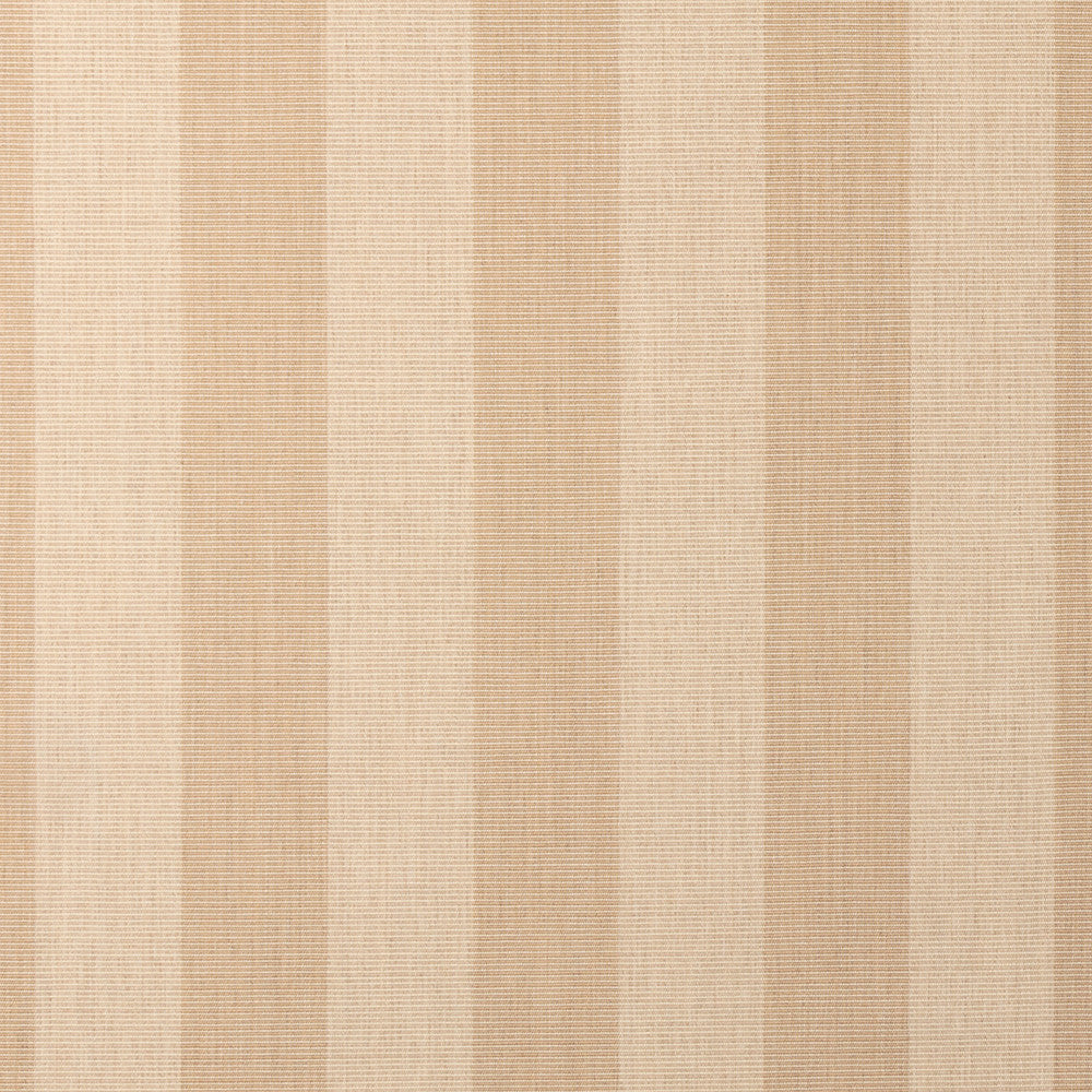 Expressive Sparrow 14121-0000 by Sunbrella Designer Fabric 100% Sunbrella® Acrylic 95000 Horizontal: 3.48 in. and Vertical: 54 in. - Swanky Fabrics -