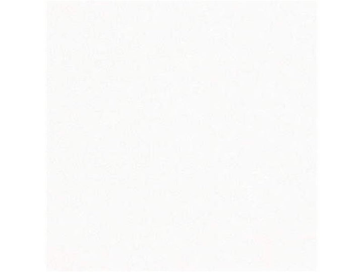 24570.101 by Kravet Basics Designer Fabric Perfect Plains Linen 100% Russian Federation Light Horizontal: see sample and Vertical: see sample 55 inches - Swanky Fabrics -