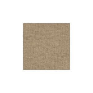 Barnegat Sand by Kravet Basics Designer Fabric