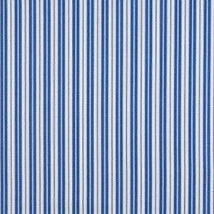 2461 Coastal Classic by Charlotte Designer Fabric