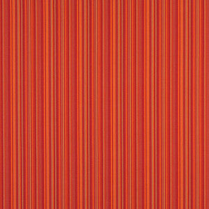 2466 Fiesta by Charlotte Designer Fabric