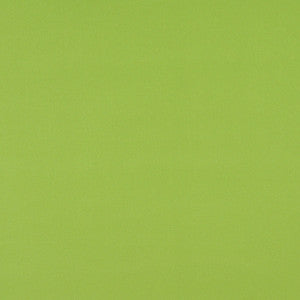 2469 Lime by Charlotte Designer Fabric