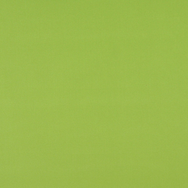 2469 Lime by Charlotte Designer Fabric All Seasons & Outdoor/Indoor Oasis II 100% Solution Dyed Woven Acrylic Italy Exceeds 140,000 Wyzenbeek Rubs (Heavy Duty) No Repeat 54 Inches - Swanky Fabrics -