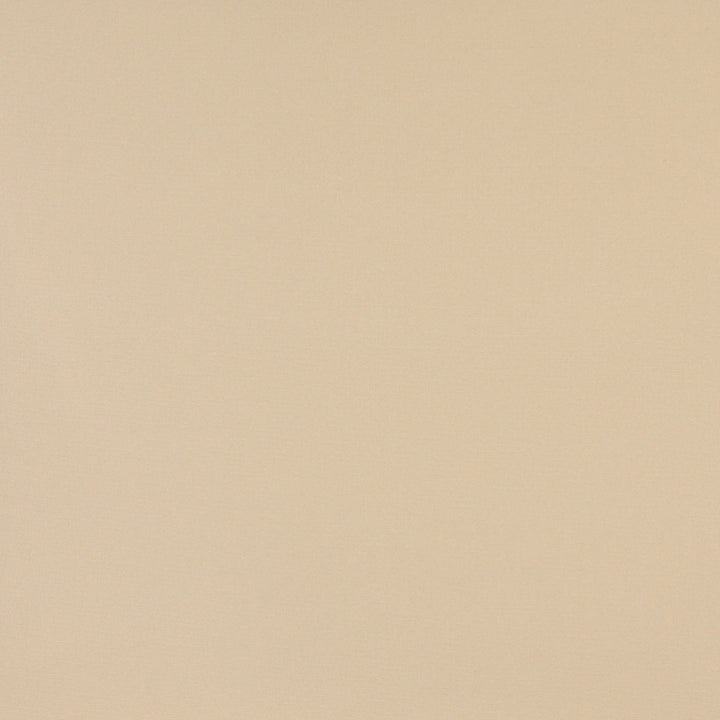 2477 Sand by Charlotte Designer Fabric All Seasons, Decorative Duck & Outdoor/Indoor Oasis II 100% Solution Dyed Woven Acrylic Italy Exceeds 140,000 Wyzenbeek Rubs (Heavy Duty) No Repeat 54 Inches - Swanky Fabrics -