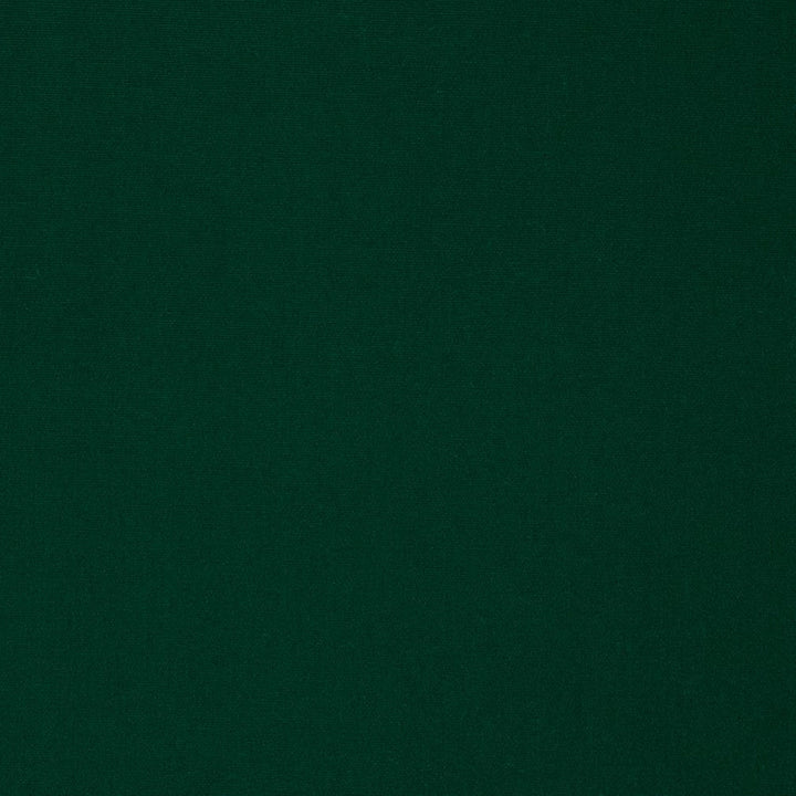 2478 Forest by Charlotte Designer Fabric All Seasons, Decorative Duck & Outdoor/Indoor Oasis II 100% Solution Dyed Woven Acrylic Italy Exceeds 140,000 Wyzenbeek Rubs (Heavy Duty) </p><p>Repeat: 54 Inches - Swanky Fabrics -