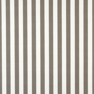 2486 Taupe Canopy by Charlotte Designer Fabric