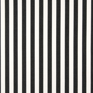 2489 Midnight Canopy by Charlotte Designer Fabric
