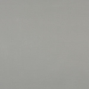 2492 Pewter by Charlotte Designer Fabric