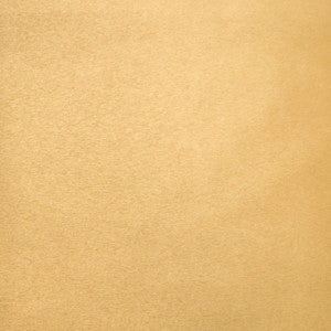 Pioneer 24 by Europatex Designer Fabric