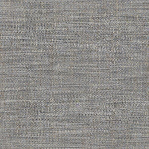 Arita Denim 250640 by ED Ellen DeGeneres Designer Fabric