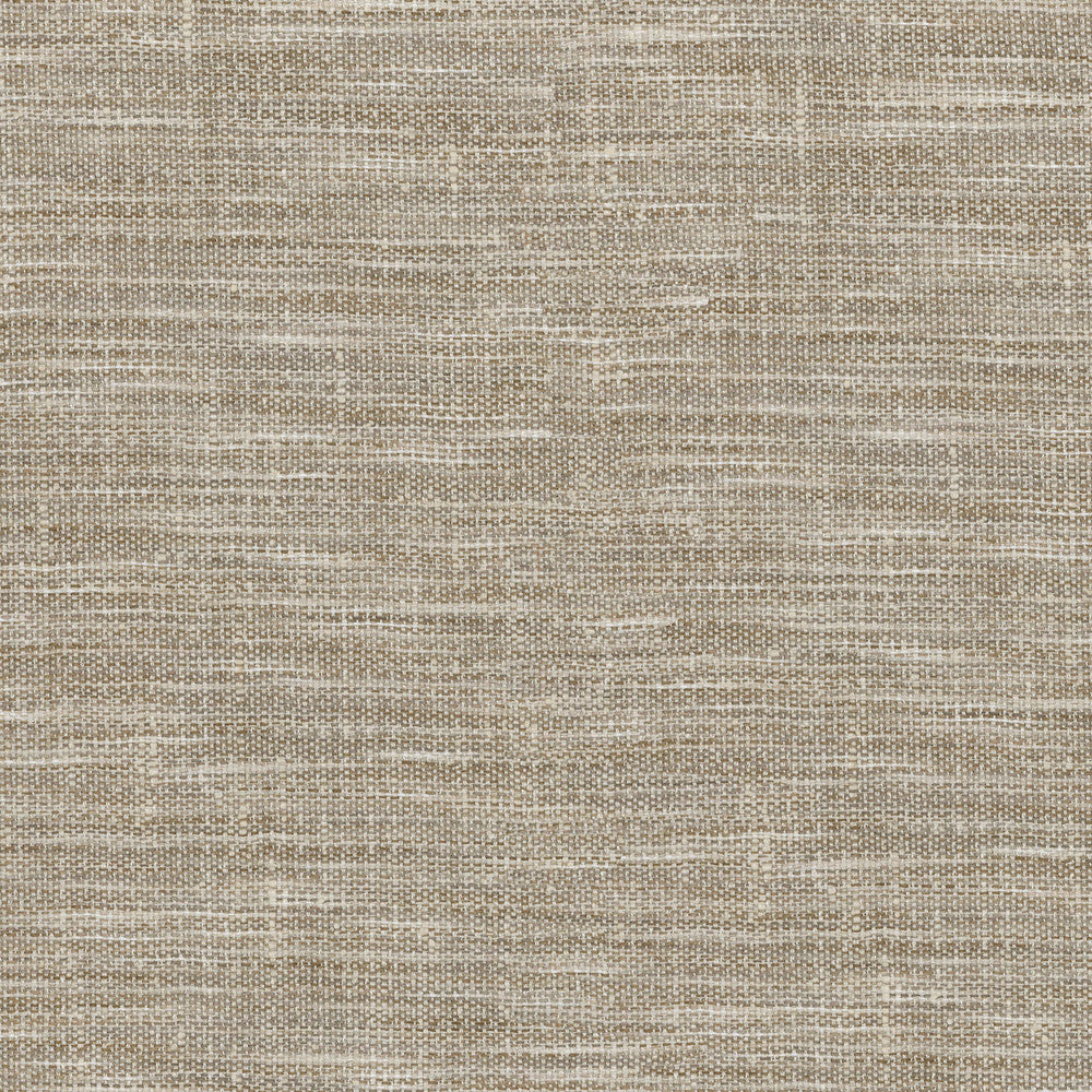 Arita Fossil 250644 by ED Ellen DeGeneres Designer Fabric - 100% Polyester INDIA 51000 Horizontal: 0 and Vertical: 0 54 - Swanky Fabrics -
