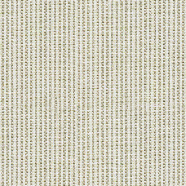25099.11 by Kravet Basics Designer Fabric Perfect Plains Cotton 100% Portugal Heavy Horizontal: see sample and Vertical: see sample 54 inches - Swanky Fabrics -