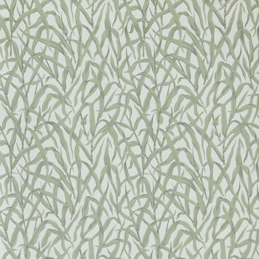 Ornamental Grasses (Wp) # 01 Sage by 1838 Wallcoverings Designer Wallpaper V&A Decorative Papers Iii STRAIGHT PASTE THE WALL UNITED KINGDOM V-21" 20.5"X11YD - Swanky Fabrics -