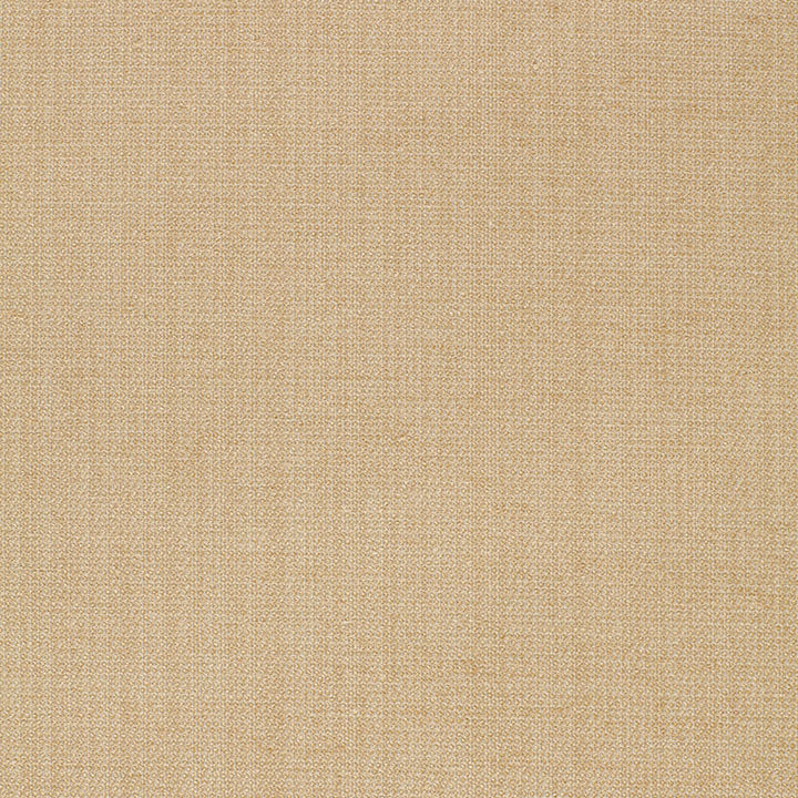 Waldon Chenille Sand 25741 by Schumacher Designer Fabric OPULENT TEXTURES RAYON 68% POLYESTER 24% UNITED STATES OF AMERICA WYZENBEEK 30,000 </p><p>Repeat: Horizontal: and Vertical: 54 - Swanky Fabrics -