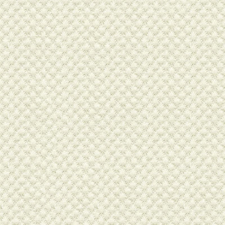 25807.1 by Kravet Design Designer Fabric Sunbrella Solution Dyed Acrylic 100% USA Heavy Horizontal: see sample and Vertical: see sample 50 inches - Swanky Fabrics -