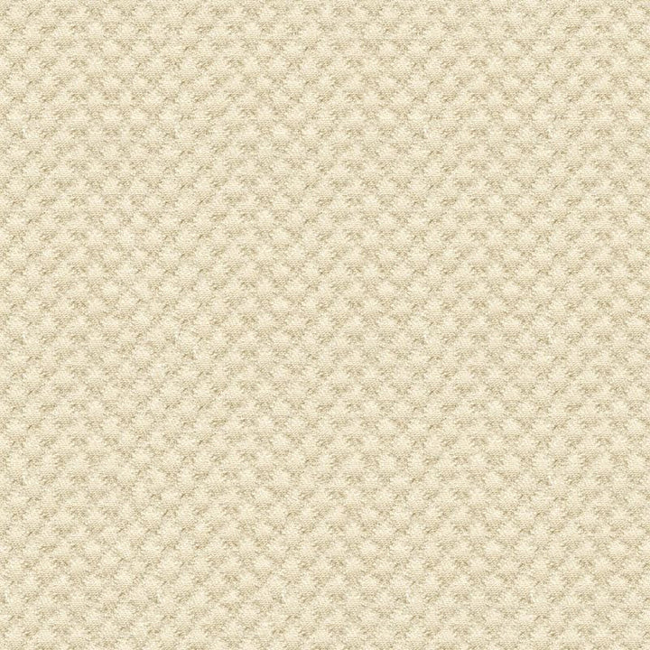 25807.1116 by Kravet Design Designer Fabric in our sample Solution Dyed Acrylic 100% USA Heavy Horizontal: See Sample and Vertical: See Sample 50 inches - Swanky Fabrics -