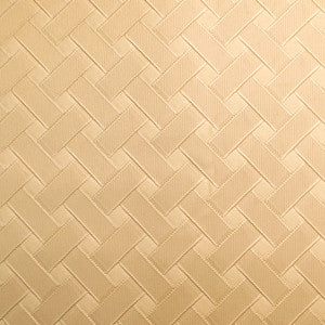 Pioneer 25 by Europatex Designer Fabric