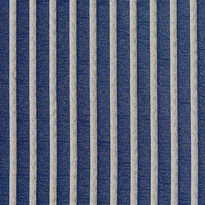 2609 Wedgewood/Stripe by Charlotte Designer Fabric