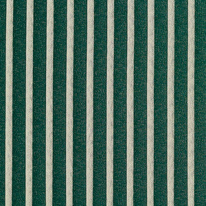 2610 Alpine/Stripe by Charlotte Designer Fabric