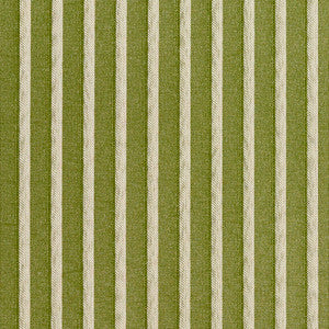 2613 Fern/Stripe by Charlotte Designer Fabric