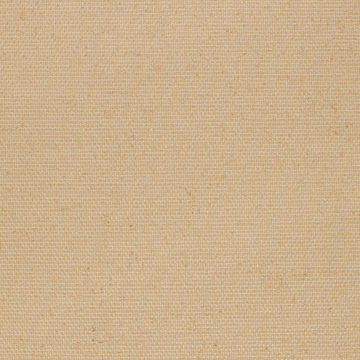 Shantung Plain Weave Sisal 2643461 by Schumacher Designer Fabric OPULENT TEXTURES SILK 100% INDIA WYZENBEEK 18,000 </p><p>Repeat: Horizontal: and Vertical: 54 - Swanky Fabrics -