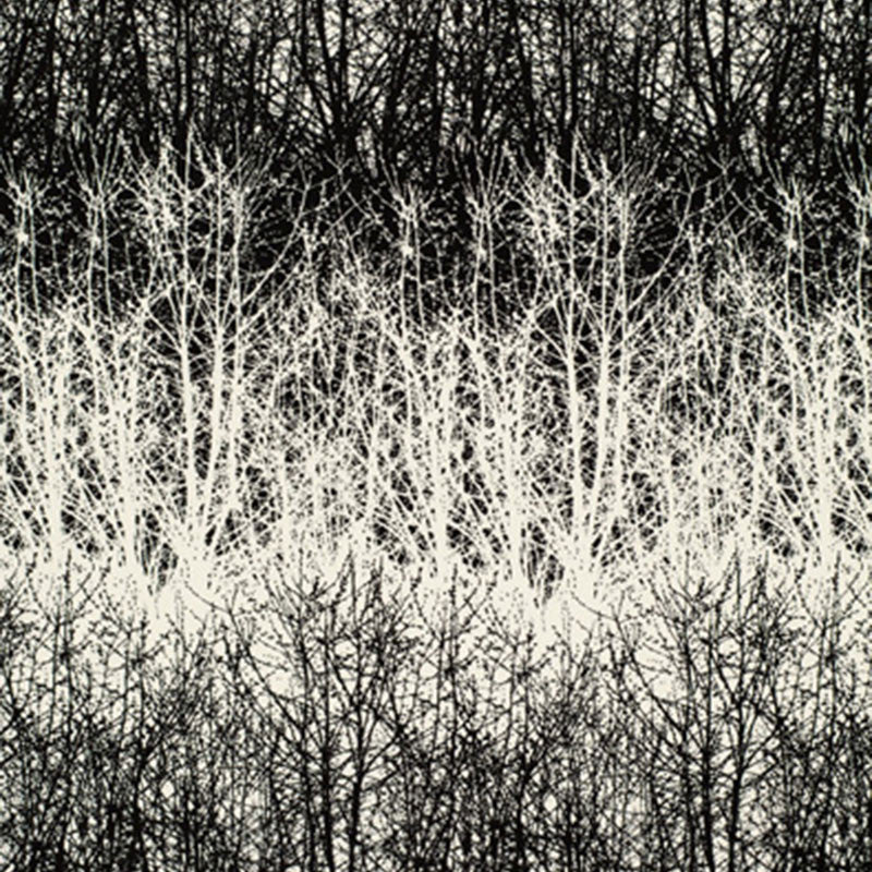 Birches Black 2644021 by Schumacher Designer Fabric GOOD VIBRATIONS COTTON 100% UNITED STATES OF AMERICA </p><p>Repeat: Horizontal: 13 1/2" (34CM) and Vertical: 29 1/2" (75CM) 54 - Swanky Fabrics -