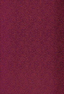 Kyousha Silk Lacquer 2644520 by Schumacher Designer Fabric