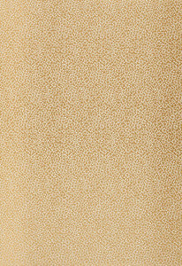 Kyousha Silk Champagne 2644521 by Schumacher Designer Fabric