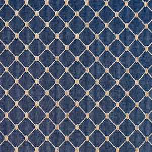 2645 Wedgewood/Diamond by Charlotte Designer Fabric