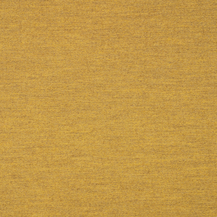 40501-0008 Pashmina Saffron by Sunbrella Designer Fabric Sunbrella Transcend Sunbrella® Acrylic, Sunbrella® Polyester USA or Imported 5-Year Horizontal: and Vertical: 60 yd. 54 in. - Swanky Fabrics -