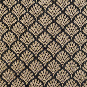 2660 Onyx/Fan by Charlotte Designer Fabric