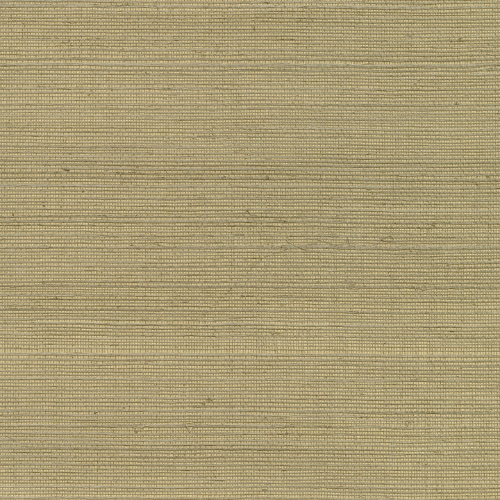 Luoma Light Brown Sisal Grasscloth Wallpaper by Kenneth James Designer Canton Road Covers about 72 square feet 36-in by 24-ft long roll Unpasted 0 - Swanky Fabrics -