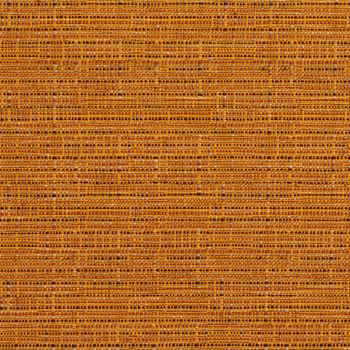 2738 Amber by Charlotte Designer Fabric Durables II 100% Woven Polyester Made In USA Exceeds 100,000 Wyzenbeek Rubs (Heavy Duty) No Repeat 54 Inches - Swanky Fabrics -