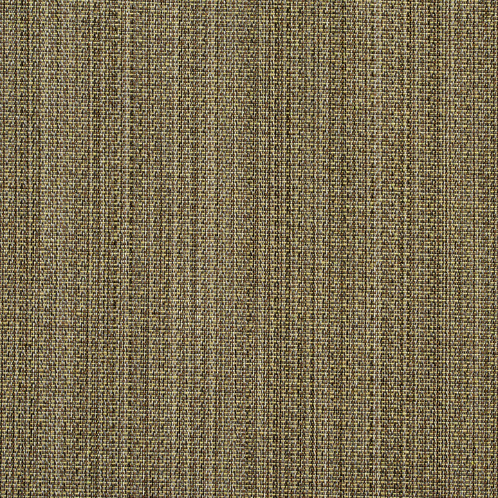 2750 Meadow by Charlotte Designer Fabric Durables II 100% Woven Polyester Made In USA Exceeds 100,000 Wyzenbeek Rubs (Heavy Duty) Horizontal: 13" 54 Inches - Swanky Fabrics -