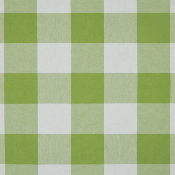 Call Me Kiwi Rb21 370 by P Kaufmann Fabrics Designer Fabric