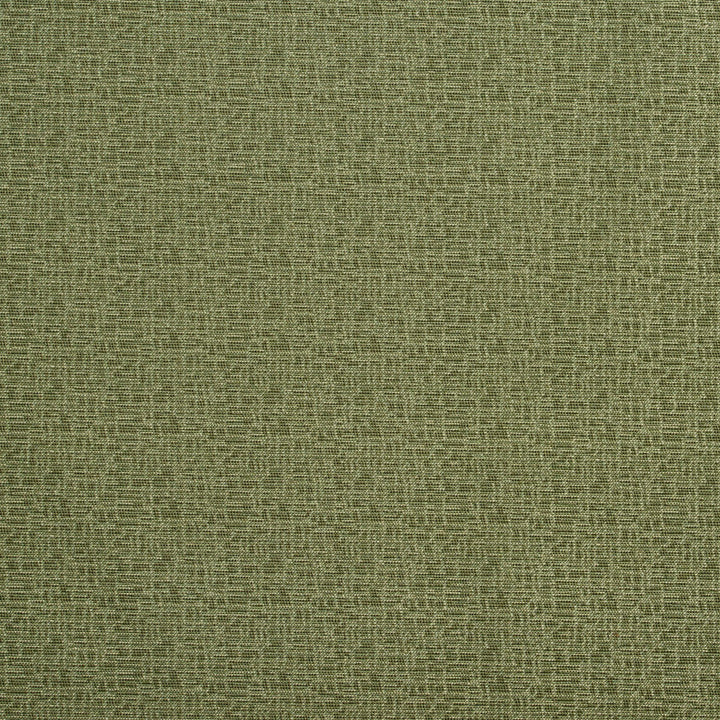 2779 Clover by Charlotte Designer Fabric Durables II and Ring Book Page #1A 100% Woven Polyester Made In USA Exceeds 100,000 Wyzenbeek Rubs (Heavy Duty) No Repeat 54 Inches - Swanky Fabrics -