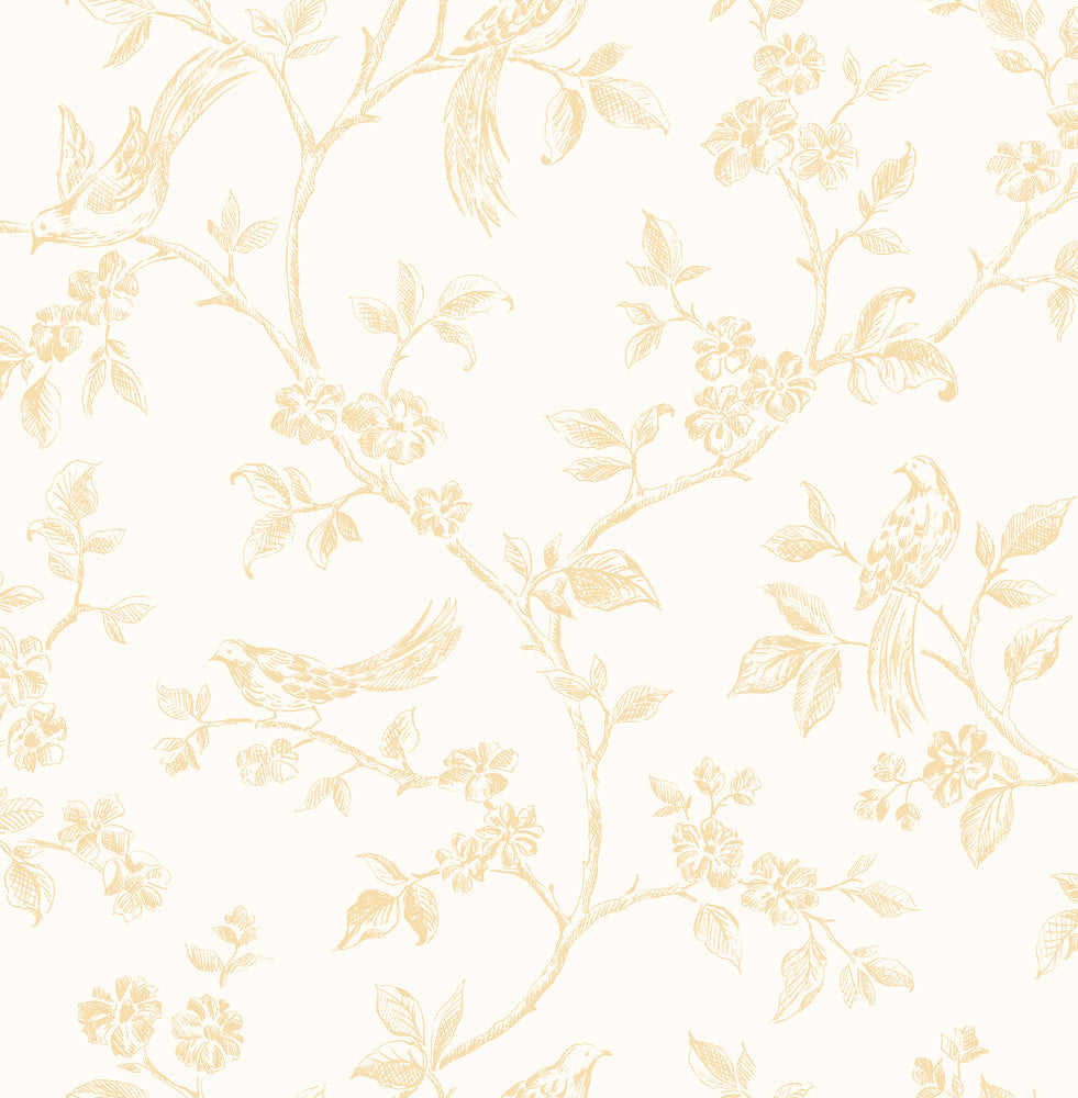 Ray Light Yellow Bird Trail Wallpaper by Advantage Designer Kitchen Covers about 56.4 square feet 20.5-in by 33-ft long roll Unpasted 10.4 - Swanky Fabrics -