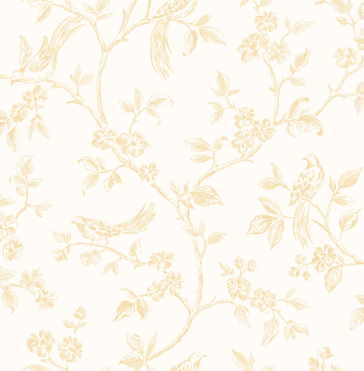 Ray Light Yellow Bird Trail Wallpaper by Advantage Designer Kitchen Covers about 56.4 square feet 20.5-in by 33-ft long roll Unpasted 10.4 - Swanky Fabrics -
