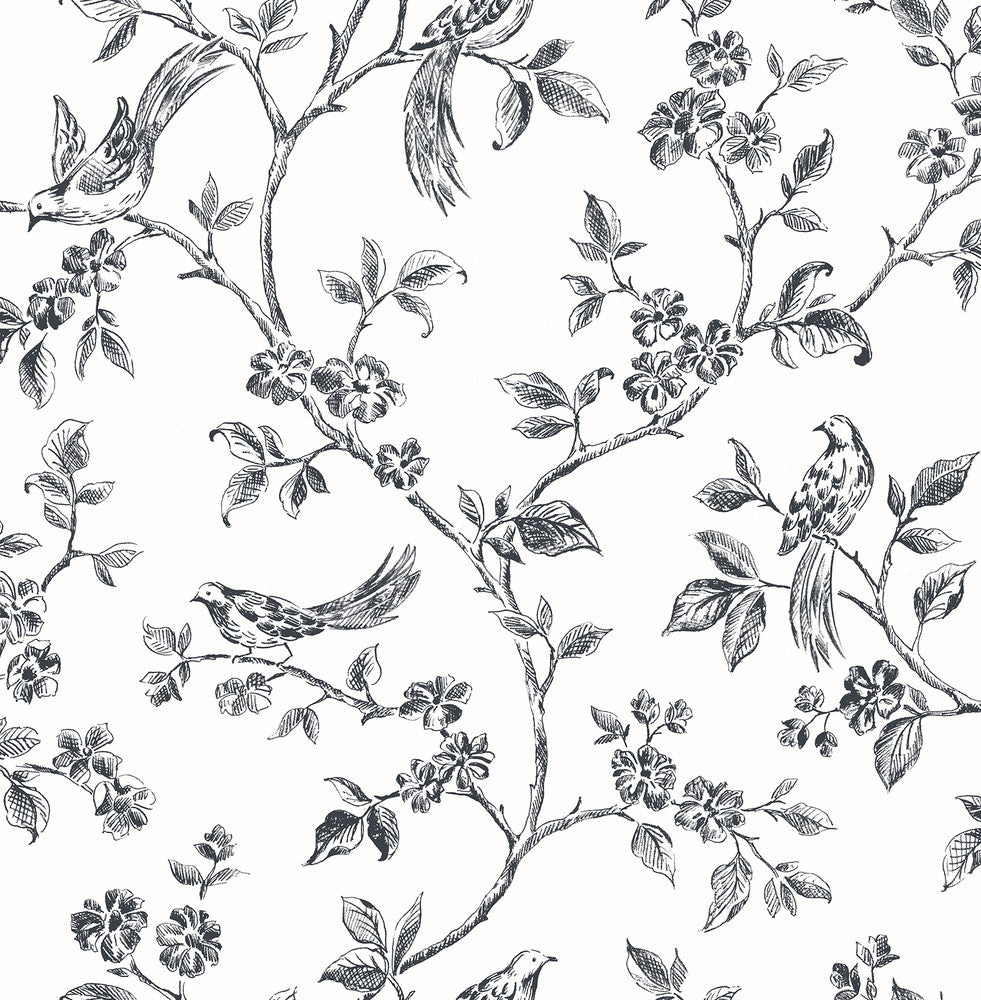 Ray Black Bird Trail Wallpaper by Advantage Designer Kitchen Covers about 56.4 square feet 20.5-in by 33-ft long roll Unpasted 10.4 - Swanky Fabrics -