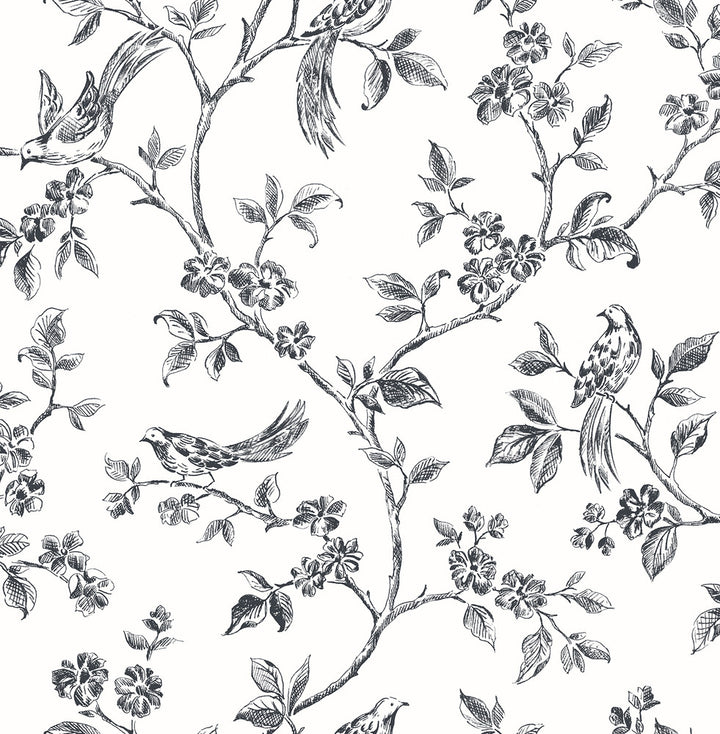 Ray Black Bird Trail Wallpaper by Advantage Designer Kitchen Covers about 56.4 square feet 20.5-in by 33-ft long roll Unpasted 10.4 - Swanky Fabrics -