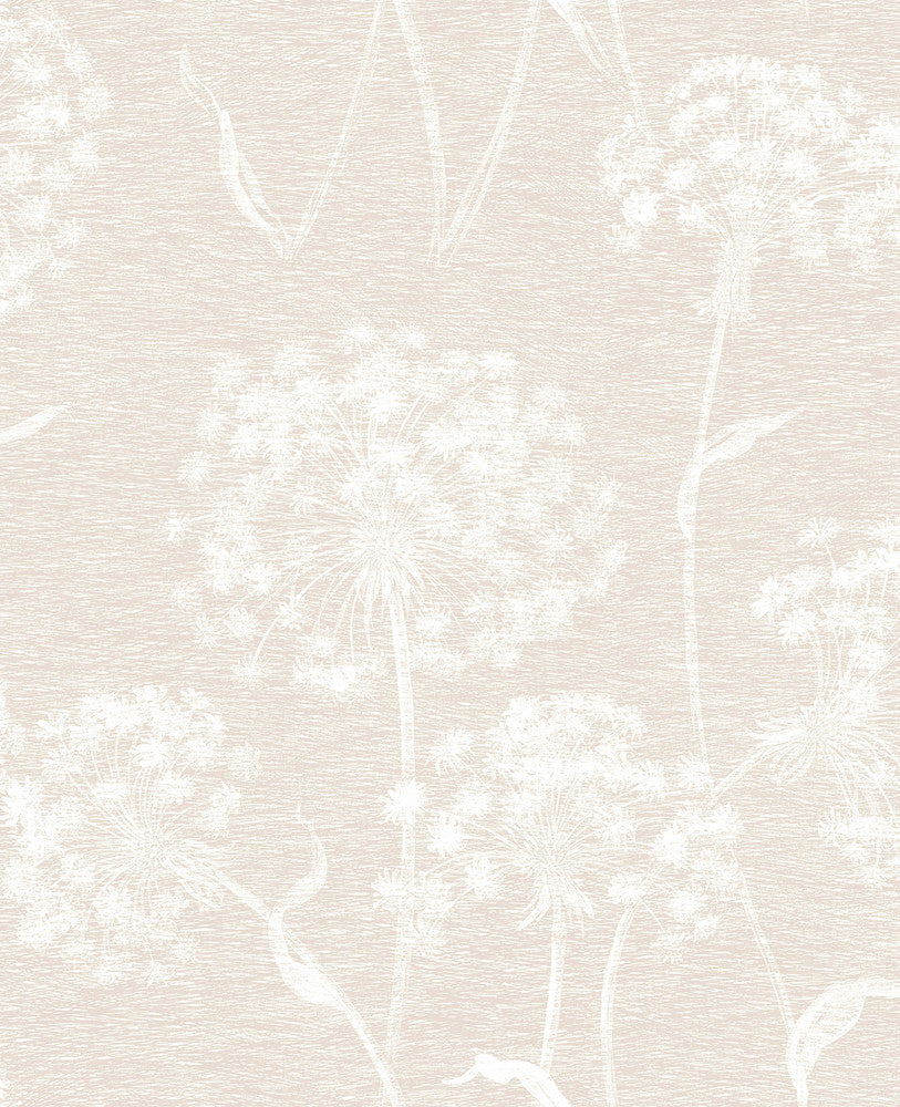 Horatio Cream Dandelion Wallpaper by Advantage Designer Shades of Grey Covers about 56.4 square feet 20.5-in by 33-ft long roll Unpasted 12.6 - Swanky Fabrics -