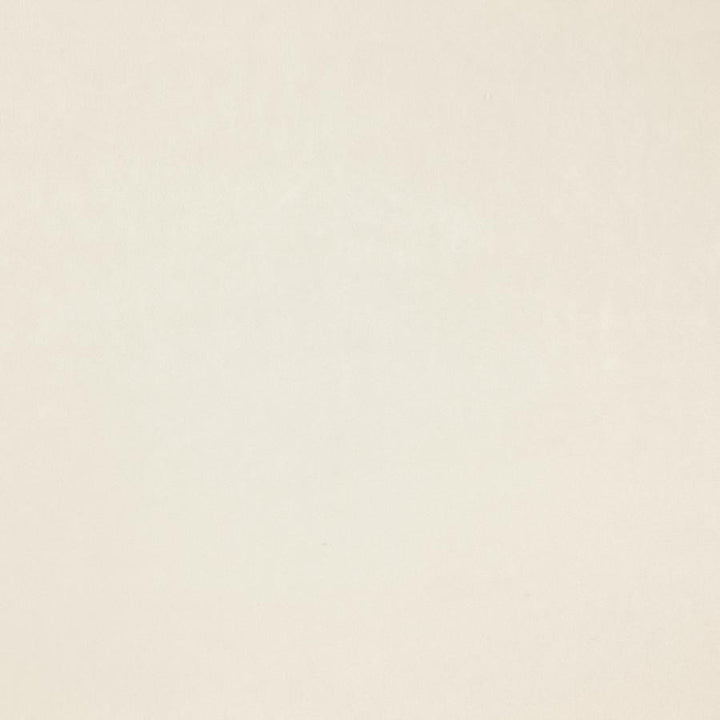 Zurich # 38 Angora by Maxwell Designer Fabric Glam Velvet 100% POLYESTER INDIA 56.75" - Swanky Fabrics -