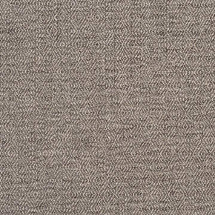 2913 Flannel by Charlotte Designer Fabric Ring Book Page #2A 100% Woven Polyester Asia Exceeds 100,000 Wyzenbeek Rubs (Heavy Duty) Horizonta: .5" x Vertical: 1" 54 Inches - Swanky Fabrics -